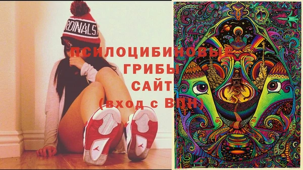 spice Абаза