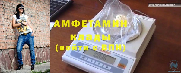 spice Абаза