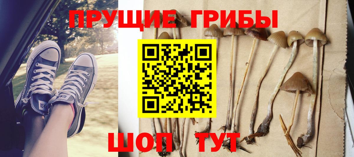 Псилоцибиновые грибы Psilocybine cubensis  Вход с VPN  Элиста 