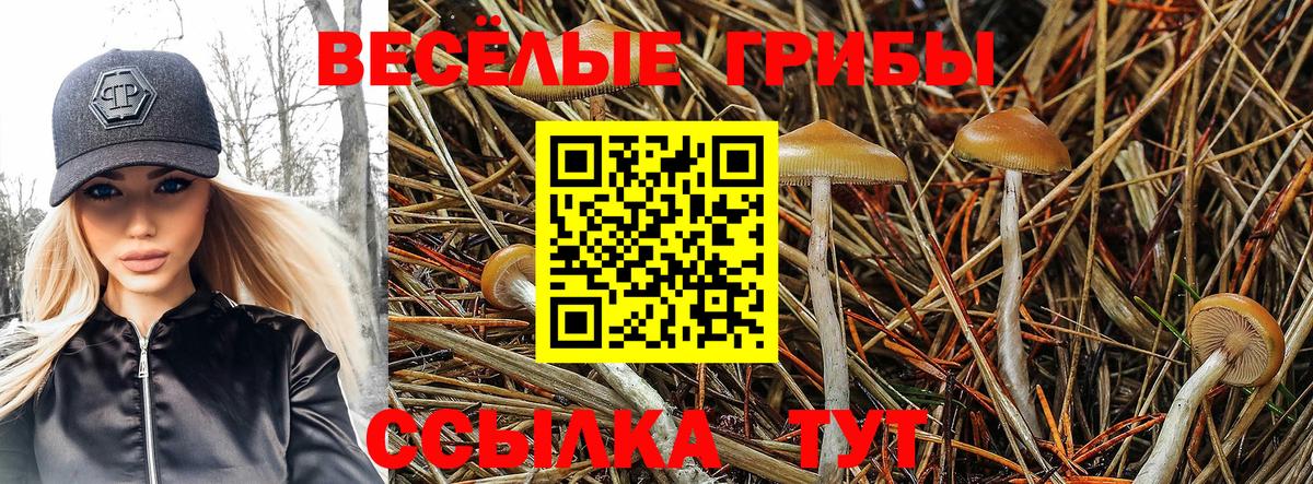 Галлюциногенные грибы мицелий Элиста